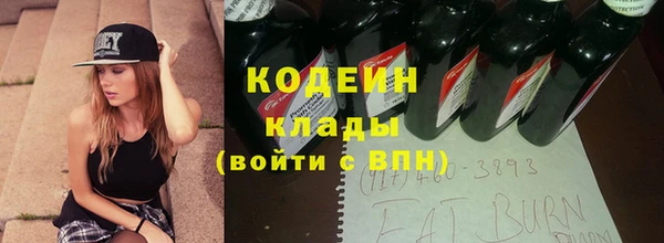МДПВ Бородино