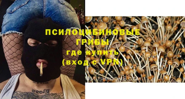 a pvp Верея