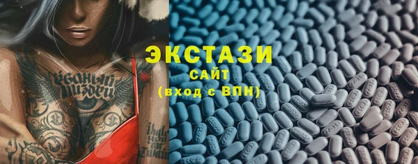 МДПВ Бородино