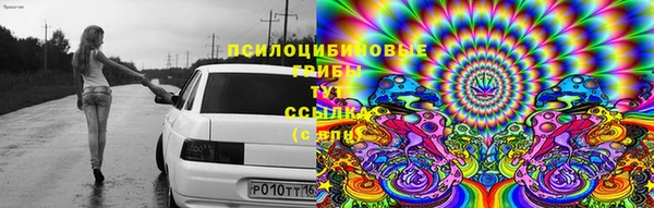 альфа пвп Бугульма